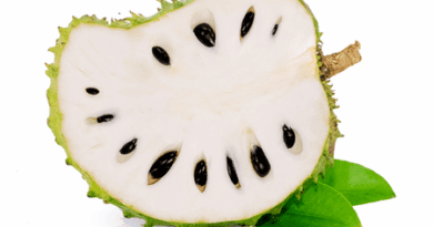The 15 Health Benefits of Sour-sop Including Its Power to Cure Diabetics