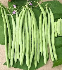 The Cowpea Pods: Economic Importance, Uses, and By-Products