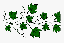 The Fluted Pumpkin Tendrils: Economic Importance, Uses, and By-Products The Fluted Pumpkin Tendrils: Economic Importance, Uses, and By-Products