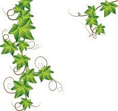The Fluted Pumpkin Tendrils: Economic Importance, Uses, and By-Products The Fluted Pumpkin Tendrils: Economic Importance, Uses, and By-Products