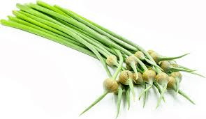 The Garlic Stem: Economic Importance, Uses, and By-Products