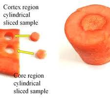 The Carrot Core: Economic Importance, Uses, and By-Products