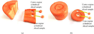 The Carrot Core: Economic Importance, Uses, and By-Products