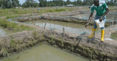 Earthen Pond Management in Fish Farming