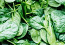 Health Benefits of Spinach (Spinacia oleracea)