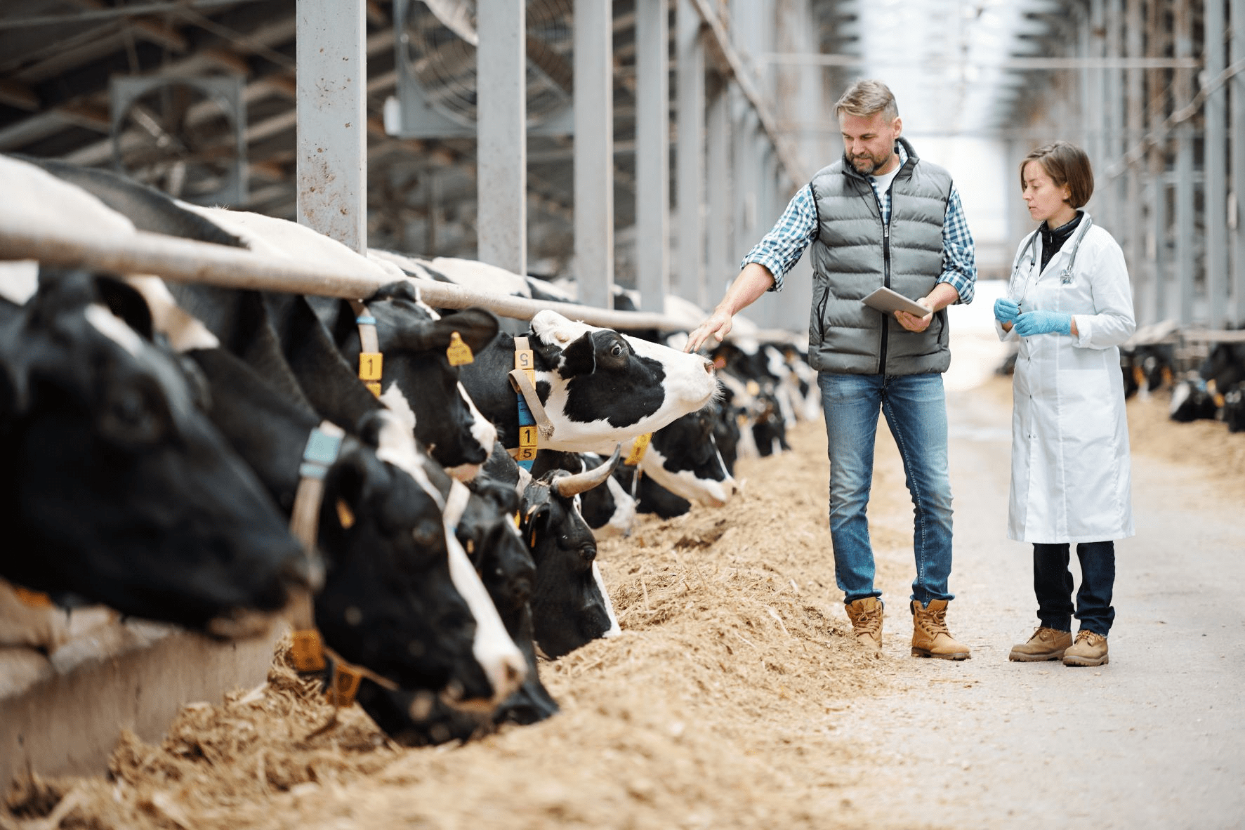 Measures for Animal Disease Prevention on a Farm