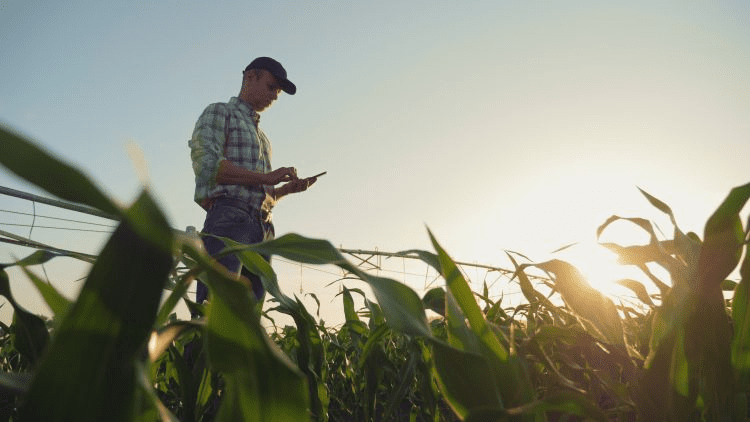Meaning and Scope of Farm Records