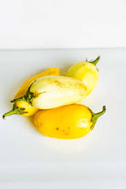 The Garden Egg Fruits: Economic Importance, Uses, and By-Products