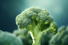 The Broccoli Inflorescence: Economic Importance, Uses, and By-Products The Broccoli Inflorescence: Economic Importance, Uses, and By-Products
