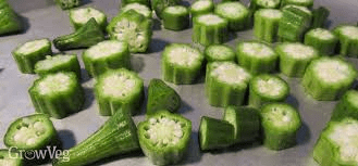 The Okra Pods: Economic Importance, Uses, and By-Products