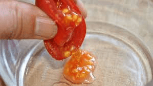 The Tomato Gel: Economic Importance, Uses, and By-Products