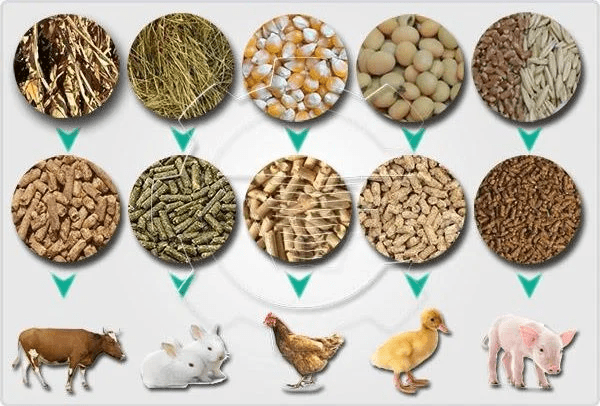 Methods of Animal Feed Formulation for Various Classes of Farm Animals