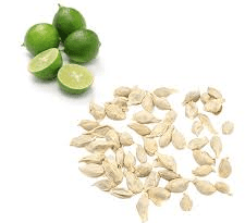 The Lime Seeds: Economic Importance, Uses, and By-Products