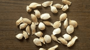 The Lime Seeds: Economic Importance, Uses, and By-Products The Lime Seeds: Economic Importance, Uses, and By-Products