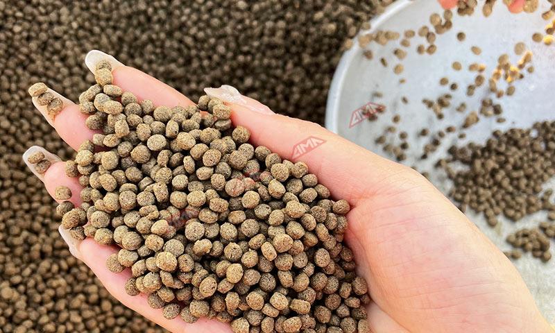 How to Make a Balanced Fish Feed Formulation for Fishes