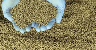 How to Make a Balanced Fish Feed Formulation for Fishes