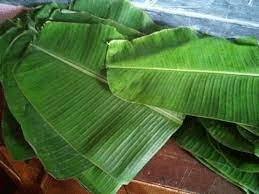 The Plantain Leaves: Economic Importance, Uses, and By-Products The Plantain Leaves: Economic Importance, Uses, and By-Products