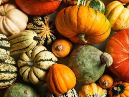 The Pumpkin Fruits: Economic Importance, Uses, and By-Products