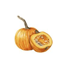 The Pumpkin Skin: Economic Importance, Uses, and By-Products The Pumpkin Skin: Economic Importance, Uses, and By-Products