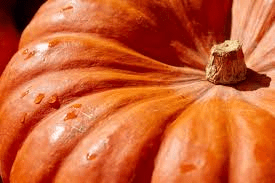 The Pumpkin Skin: Economic Importance, Uses, and By-Products The Pumpkin Skin: Economic Importance, Uses, and By-Products