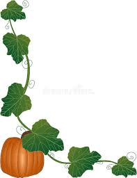 The Pumpkin Stems: Economic Importance, Uses, and By-Products The Pumpkin Stems: Economic Importance, Uses, and By-Products