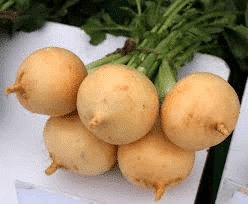 The Turnip Skin: Economic Importance, Uses, and By-Products