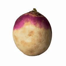 The Turnip Skin: Economic Importance, Uses, and By-Products The Turnip Skin: Economic Importance, Uses, and By-Products
