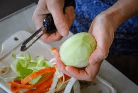 The Turnip Skin: Economic Importance, Uses, and By-Products The Turnip Skin: Economic Importance, Uses, and By-Products
