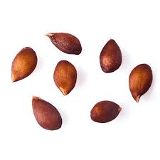 The Apple Seeds: Economic Importance, Uses, and By-Products The Apple Seeds: Economic Importance, Uses, and By-Products