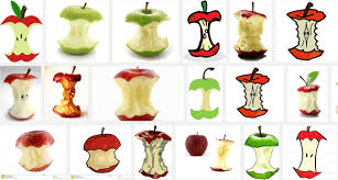 The Apple Core: Economic Importance, Uses, and By-Products The Apple Core: Economic Importance, Uses, and By-Products