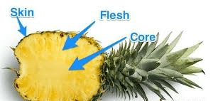 The Pineapple Core: Economic Importance, Uses, and By-Products The Pineapple Core: Economic Importance, Uses, and By-Products