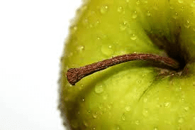 The Apple Stems: Economic Importance, Uses, and By-Products The Apple Stems: Economic Importance, Uses, and By-Products