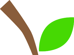 The Apple Stems: Economic Importance, Uses, and By-Products The Apple Stems: Economic Importance, Uses, and By-Products