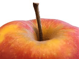 The Apple Peduncle: Economic Importance, Uses, and By-Products