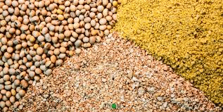 Standard Organization and Feed Standard Standard Organization and Feed Standard