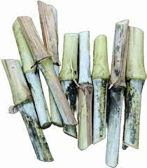 The Millet Nodes: Economic Importance, Uses, and By-Products The Millet Nodes: Economic Importance, Uses, and By-Products