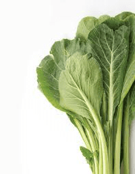 The Mustard Leaves: Economic Importance, Uses, and By-Products The Mustard Leaves: Economic Importance, Uses, and By-Products