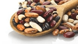 Comprehensive Guide on Dry Beans Production