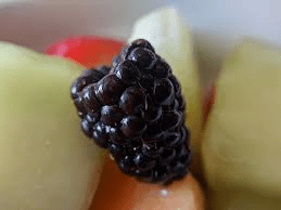 The Blackberry Drupes: Economic Importance, Uses, and By-Products The Blackberry Drupes: Economic Importance, Uses, and By-Products