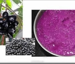 The Blackberry Pulp: Economic Importance, Uses, and By-Products The Blackberry Pulp: Economic Importance, Uses, and By-Products