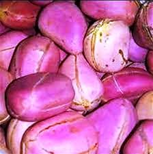 The Cola/Kola Embryo: Economic Importance, Uses, and By-Products