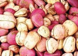 The Cola/Kola Testa: Economic Importance, Uses, and By-Products