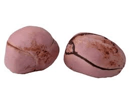 The Cola/Kola Seeds: Economic Importance, Uses, and By-Products The Cola/Kola Seeds: Economic Importance, Uses, and By-Products