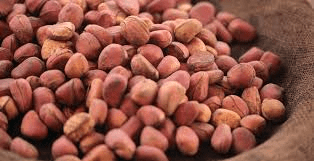 The Cola/Kola Seeds: Economic Importance, Uses, and By-Products The Cola/Kola Seeds: Economic Importance, Uses, and By-Products