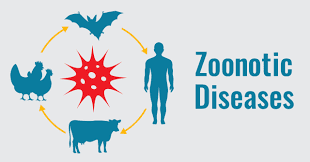 Zoonoses and Public Health Significance of Livestock Diseases