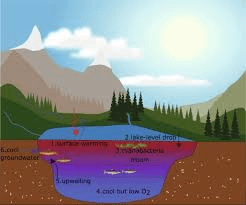 Introduction to Limnology