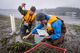 Introduction to Limnology