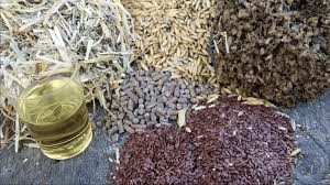 Deteriorative Changes in Stored Animal Feedstuffs