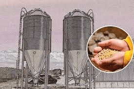 Deteriorative Changes in Stored Animal Feedstuffs