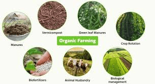 Introduction and Benefits of Organic Farming Introduction and Benefits of Organic Farming